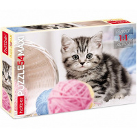Пазлы 54 эл. "По имени Мяу" 40х28см макси 54ПЗ3_20992/072474