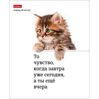 Тетрадь А5 48л клетка "Котоюмор" на скобе 5 дизайнов 079790