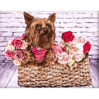 Живопись по номерам (акрил) 40х50см "В корзинке" сложность 4, холст на подрамнике МСА1888