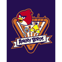 Тетрадь на кольцах А5 120л клетка "Angry Birds" 120ТК5B1_11846/033684