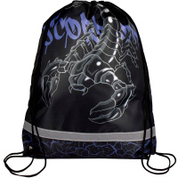 Сумка для сменной обуви "Скорпион" 48х36см 1 отделение, сублимационная печать 66196