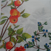 Салфетка для декупажа 33х33мм 1шт Фрукты Y6781-18