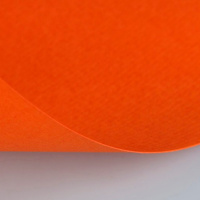Бумага для пастели 50х65см 160г/м2 оранжевая (хлопок 45%) 15011497