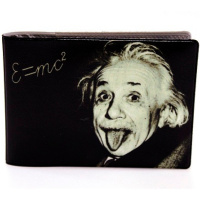 Обложка д/студенческого билета 7,8х21,6см "Твой стиль. Эйнштейн" кожзам с рисунком 2757.Т3