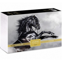 Пазлы 500 эл. "Premium. Legend ZooStyle. Черный скакун" 48х33см с постером 071318