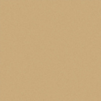 Бумага тонированная A4 300г/м2 бежевая 614/1008