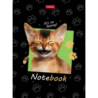 Бизнес-блокнот А6 80л "КотЭлло" клетка 7БЦ глянцевая ламинация 80ББ6В1_25133