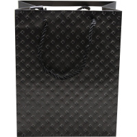 Пакет подарочный 23х18х10см 5 цветов Y10567-24