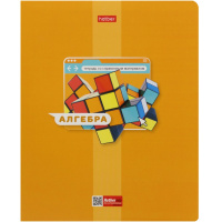 Тетрадь А5 48л клетка Алгебра "Яркая цветная" на скобе выборочный лак 084540