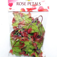 Листья декоративные 8х6,5см зеленые/красные 48шт/уп. (2 листа на ветке) Y4948-17