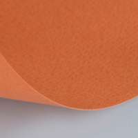 Бумага для пастели 70х100см 160г/м2 охра 15011595