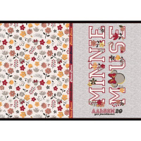 Альбом для рисования А4 20л "Микки Маус" на скобе 5 дизайнов 20А4В/056938