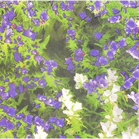 Салфетка для декупажа 33х33мм 1шт Цветы Y6787-18