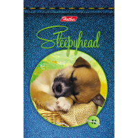 Блокнот А7 48л "Сони-Засони" клетка, склейка, 3-х цветный блок, 5 дизайнов 046361