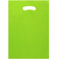 Пакет подарочный "Пастель" 21х30см зеленый Y10441-24