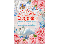 Плакат С Днем Свадьбы! 490х690 39845