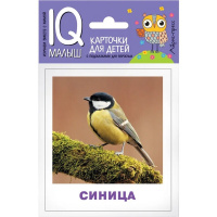 Карточки для детей с подсказками "Птицы" 14стр. Ходюшина Н.П. 978-5-8112-6491-9