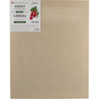 Холст на подрамнике 40х50см 280г/м2, 45% хлопок 55% лён, мелкое зерно 2473103-40х50