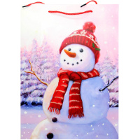 Пакет подарочный "Новый Год" 31х42х12см 4 вида 3184