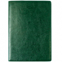 Бумажник для автодокументов и паспорта 9,5х13,2см зеленый 2812.АП-208