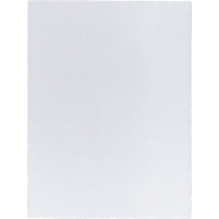 Холст на подрамнике 40х50см 235г/м2, 100% лен, среднее зерно 4610003283674