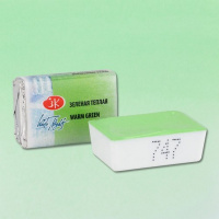 Краска акварельная 2,5мл зеленая теплая кювета 1911747