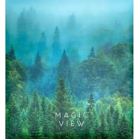 Фотоальбом магнитный 50 листов 23х28см "Magic view. Туман" 29х27х7см FA 50M.002-3.6