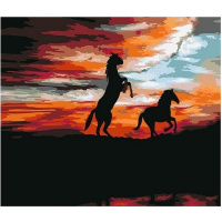 Живопись по номерам (акрил) 40х50см "Свобода" сложность 4, холст на подрамнике N 00132