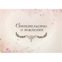 Обложка А5 "Свидетельство о рождении. Воздушное" ламинированная СРЛ5-97н