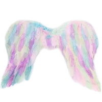 Крылья 40х55см с перьями, разноцветные пастельные Y10184-24