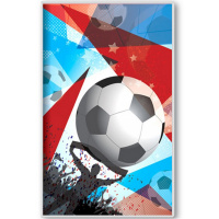 Блокнот 110х190мм 48л "Футбол" в точку, на спирали, съемная силиконовая обложка, с ручкой 2526.П-20