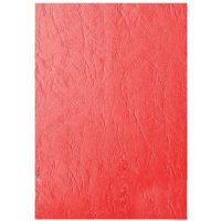 Бумага тонированная А4 220г/м2 тиснение под кожу, красная