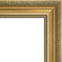 Рамка 20х30см золото 50мм