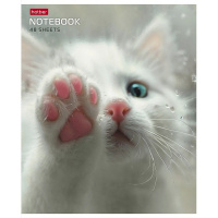 Тетрадь А5 48л клетка "Розовые лапки" на скобе 5 дизайнов 48Т5В1/090370