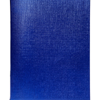 Тетрадь А5 48л клетка синий бумвинил металлик на скобе 48Т5бвВ1/061252