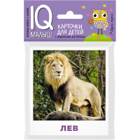 Карточки для детей с подсказками "Животные жарких стран" Ходюшина Н.П. 14стр. 978-5-8112-6447-6