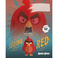 Тетрадь А5 12л линия "Angry Birds Movie" на скобе лак AB22/5-EAC