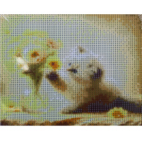 Алмазная мозаика 20х25см "Любопытный котенок" полная выкладка ZH6060