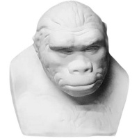 Бюст питекантропа 16,5х14х17,5см 20-253