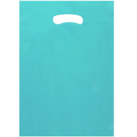 Пакет подарочный "Пастель" 21х30см голубой Y10441-24