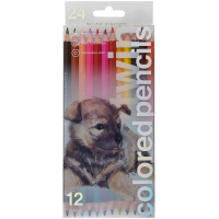 Карандаши 24 цвета "Twin. Щенок" 12шт. двусторонние шестигранные дерево, картон 30-0080/01