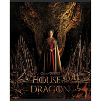 Тетрадь А5 48л клетка "Дом дракона" на скобе 5 дизайнов 48Т5В1/079424