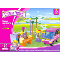 Конструктор д/девочек "Страна чудес" 172дет. 1074315/24414