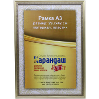 Рамка для фото 29,7х42см пластик, золото 21мм