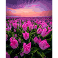 Живопись по номерам (акрил) 40х50см "Рассвет" сложность 3, холст на подрамнике МСА1870