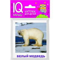 Карточки для детей с подсказками "Животные полярных широт" Ходюшина Н.П. 14стр. 978-5-8112-6742-2