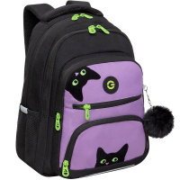 Рюкзак 30х39х20см, 728гр, 3 отделения, 4 кармана, с брелком, черный/лаванда RG-362-4/2