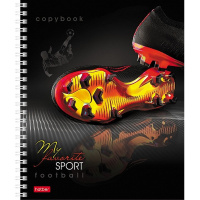 Тетрадь А5 96л клетка "СпортКлуб" на спирали матовая ламинация 2 дизайна 96Т5лтВ1гр/067319