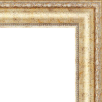 Рамка 40х50см золото 51мм