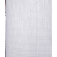 Тетрадь А5 48л клетка белый бумвинил металлик на скобе 48Т5бвВ1/059825